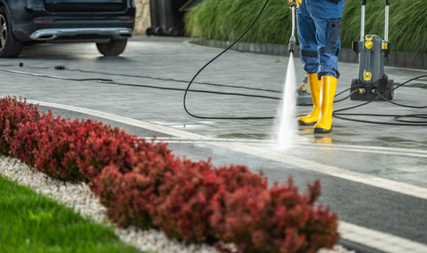 Roof Power Washing Services in Labadieville, LA