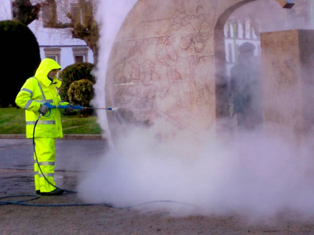 Professional Pressure Washing in Labadieville, LA